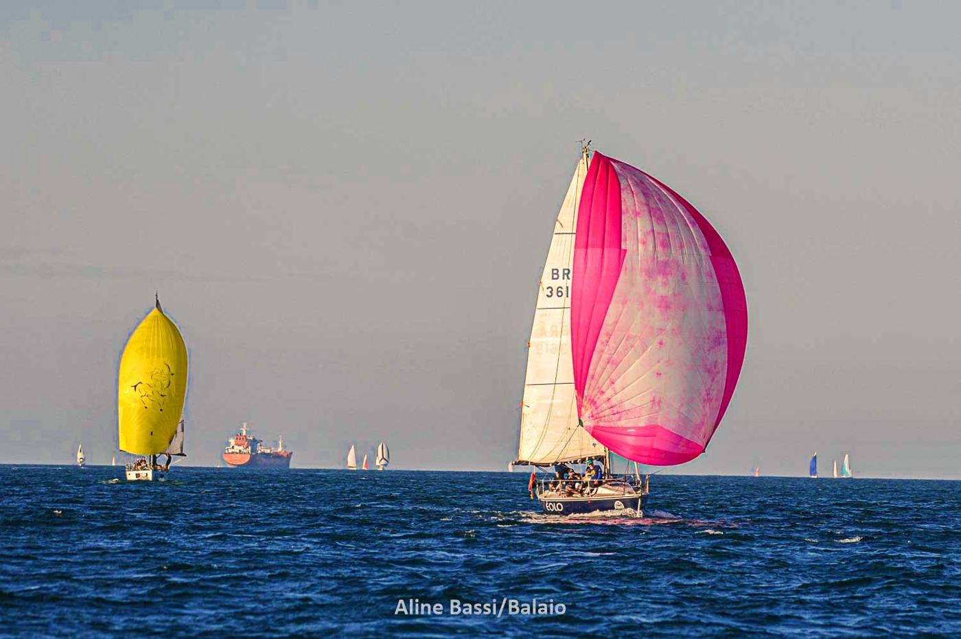 Regata Ubatuba–Ilhabela 2025, foto 5