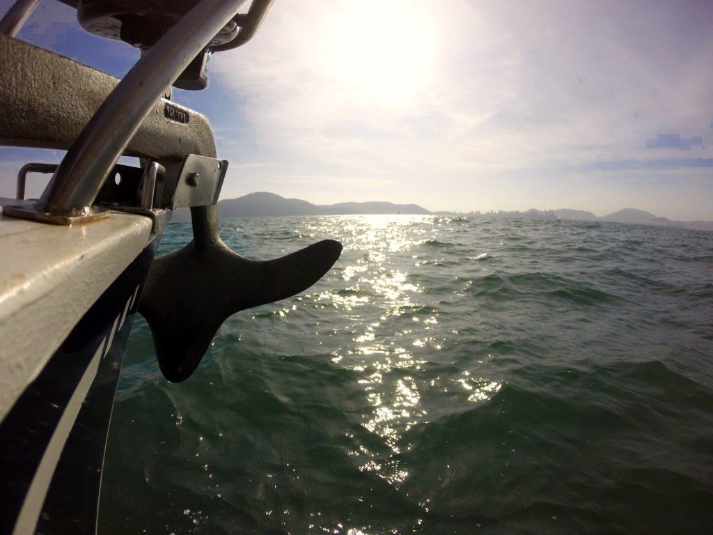 Campeonato Paulista de Oceano 2022, foto 4