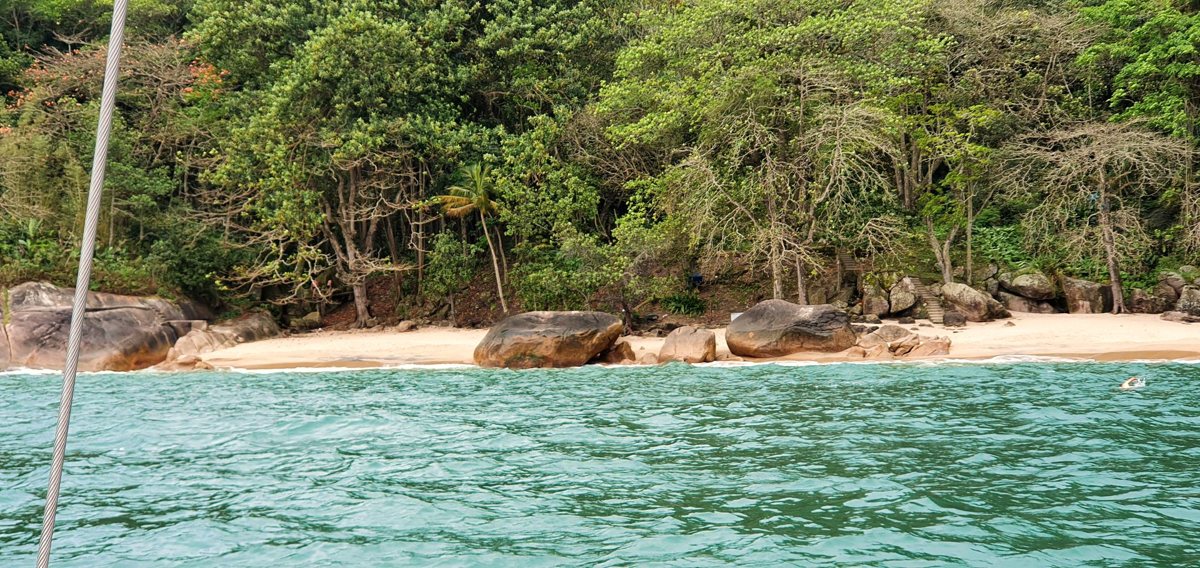 Praia de areia clara com pedras e mata, vista do Éolo
